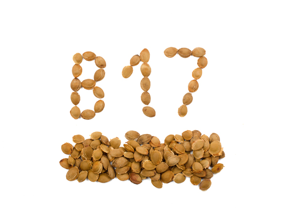 vitamina B17